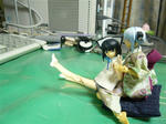 111104na5.jpg
