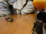 111105na10.jpg