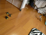 111105na26.jpg