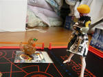 111105na51.jpg