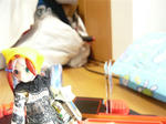 111105na73.jpg