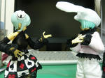 111207na1.jpg