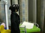 111223na1.jpg