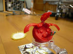 120218na29.jpg