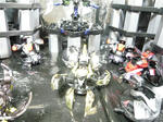 120304na14.jpg