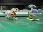 120304na24.jpg