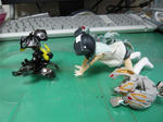 120304na31.jpg