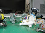 120304na32.jpg