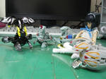 120304na35.jpg