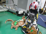 120304na38.jpg