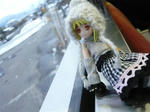 120312na7.jpg