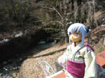 120312na10.jpg