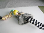 120312na31.jpg