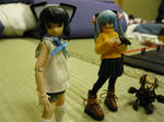 120310na24.jpg