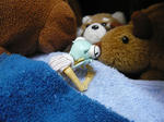 120331na1.jpg