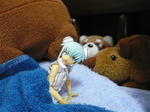 120331na3.jpg