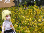 120413na1.jpg