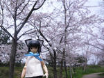120413na3.jpg
