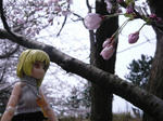 120413na4.jpg