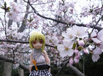 120413na6.jpg