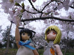 120413na8.jpg