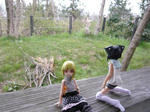 120413na11.jpg