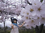 120413na12.jpg