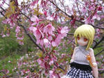 120413na13.jpg
