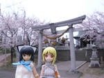 120413na14.jpg