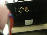 120427na9.jpg