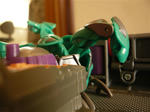 120428na4.jpg