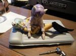 120504na26.jpg