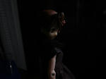 120707na4.jpg