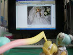 110708na4.jpg