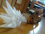 120813na6.jpg