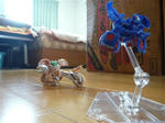 120813na8.jpg