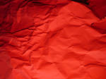 120817na13.jpg