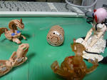 121012na9.jpg