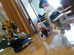 121013na4.jpg