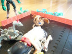 121023na3.jpg