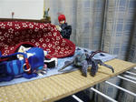 130220na4.jpg