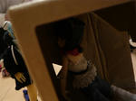 130307na15.jpg