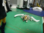 130406na6.jpg