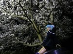 130409na2.jpg