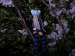 130409na3.jpg