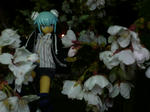 130409na4.jpg