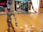 130427na13.jpg