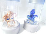 130428na33.jpg