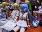 130728na9.jpg