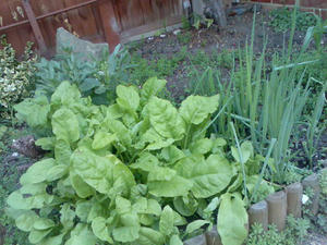 Image028.jpg